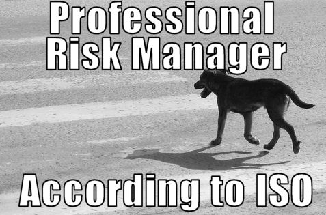 The Meme is Set: Risk-Based Thinking = Risk Management No Matter What TC  176 Says - Oxebridge Quality Resources