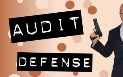 Audit Defense Services & Standard User Advocacy
