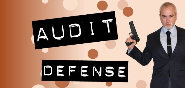 Audit Defense Services & Standard User Advocacy