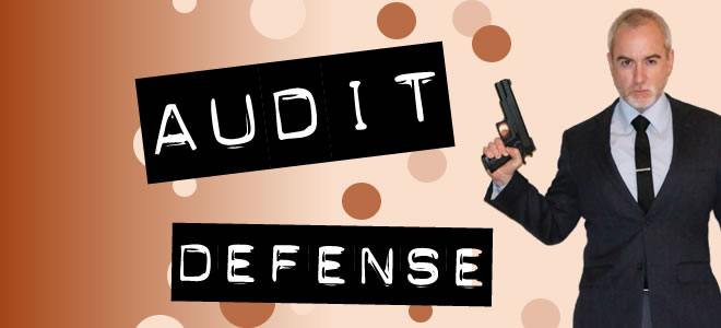 Audit Defense Services & Standard User Advocacy