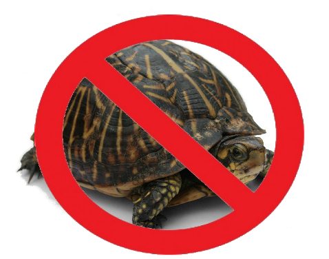 Process Audits for ISO 9001 Made Blindingly Simple