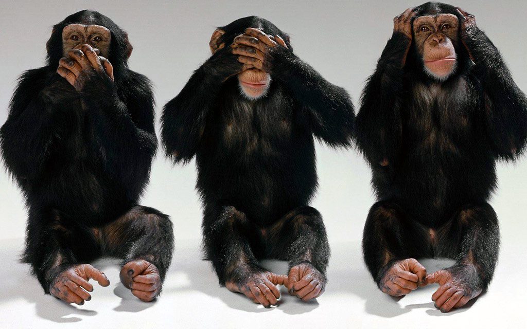 The Simple Questions the TAG 176 Chair Candidates Won’t Answer