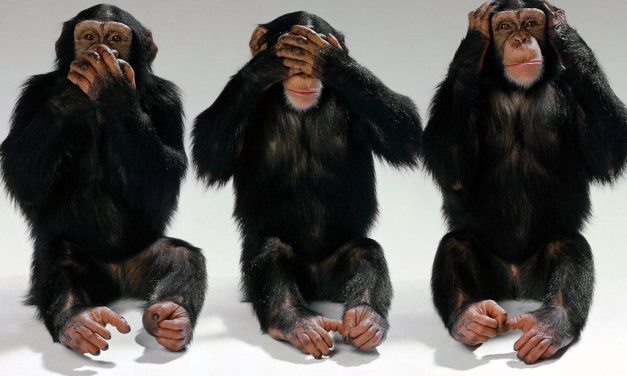 The Simple Questions the TAG 176 Chair Candidates Won’t Answer
