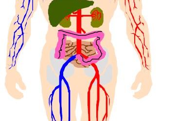 Britain’s CQI Wanted To Add A Graphic on Ayurvedic Medicine in ISO 9001