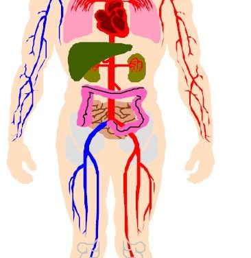 Britain’s CQI Wanted To Add A Graphic on Ayurvedic Medicine in ISO 9001