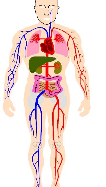 Britain’s CQI Wanted To Add A Graphic on Ayurvedic Medicine in ISO 9001