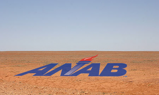 ANAB’s New Org Structure Goes Flat, But Like REALLY Flat