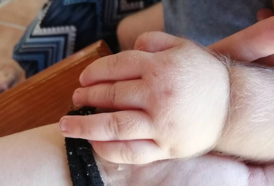 Company That Released Mislabeled Drugs, Gravely Injuring Babies, Holds ISO 9001 from TUV