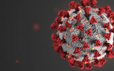 IAF Silently Deletes COVID FAQ and Related Policies