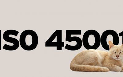 ISO 45001:2018 — “Helping Management and Workers Sleep Well at Night!”