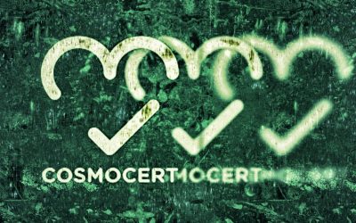 Greek CB Tried To Cover Up Usage of Accreditation Template Kit