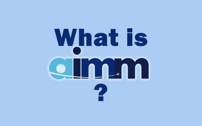 What is the Aerospace Improvement Maturity Model (AIMM)?