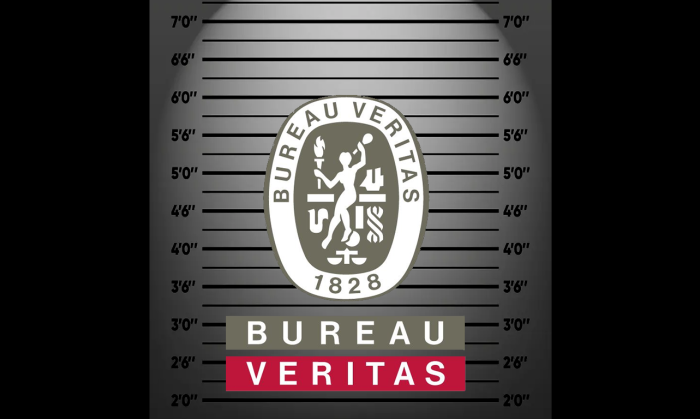 Bureau Veritas Just Made An Entire Infographic on How They Violate ISO 17021-1