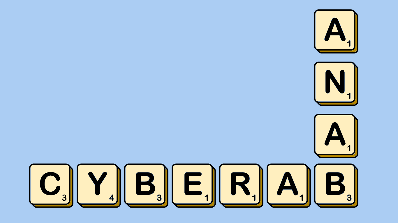 CyberAB is Outsourcing Assessments to ANAB and Didn’t Tell Anyone